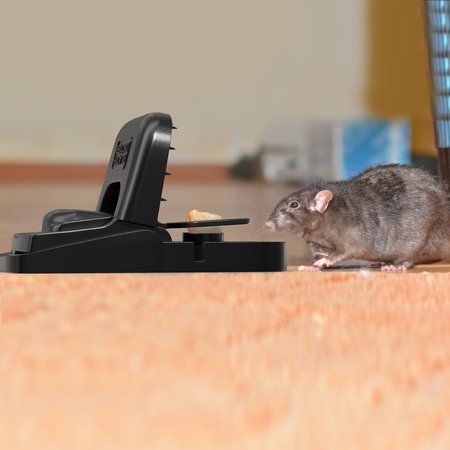 Black & Decker Rat Trap Outdoor  Rat Traps Indoor  Rodent Snap Trap, Touch Free  Reusable Pest Control, 8 Pack 2BX-BDXPC817
